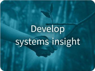 develop-systems-insight